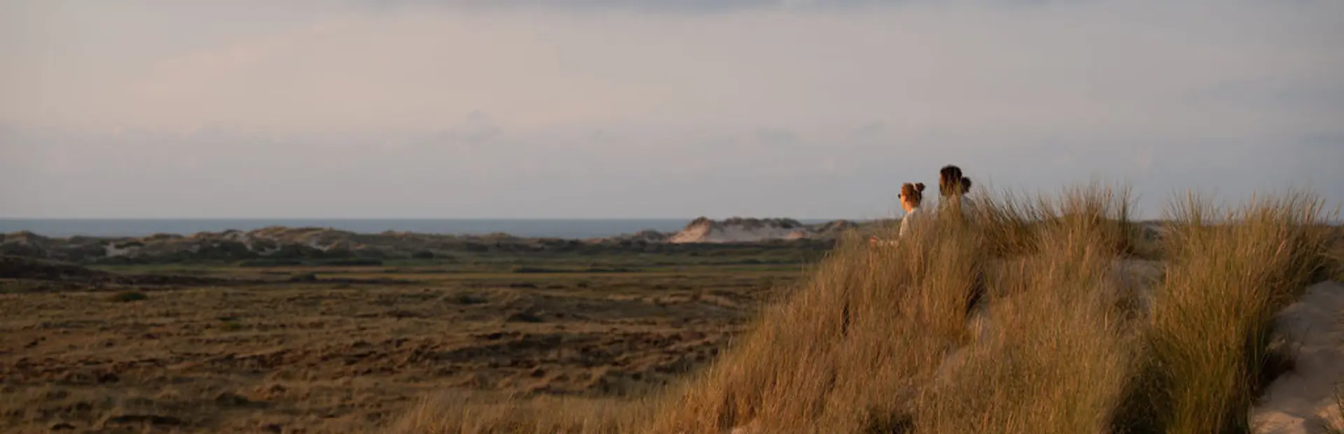 TR 2026 KIMKRAMER KAAPSDUNE OOSTEREND 04